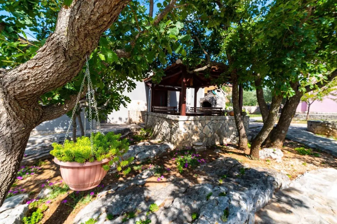 Villa Eagle Benkovac